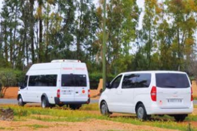 Private Transfer to Tangier City From Airport or Vice Versa - Service Details