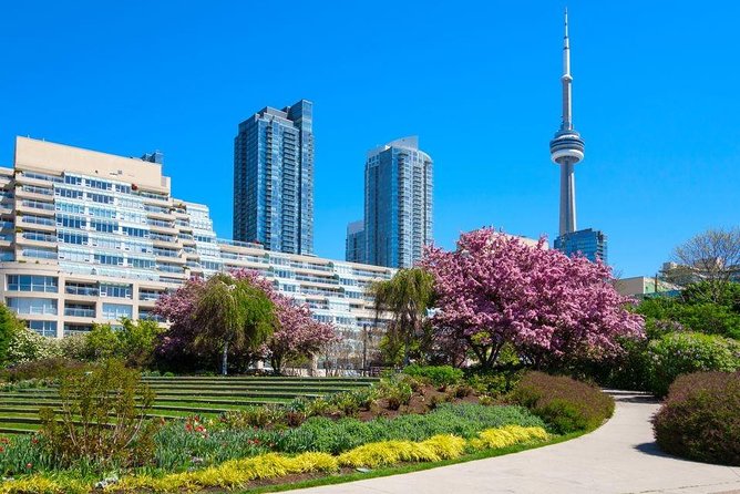 Private Transfer: Toronto to Pearson Airport YYZ in Business Car - Operator Information