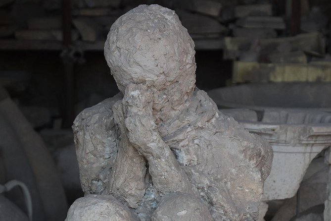 Private Transfer/Tour From/To Naples To/From Sorrento With Stop in Pompeii - Flexible Refund Policy