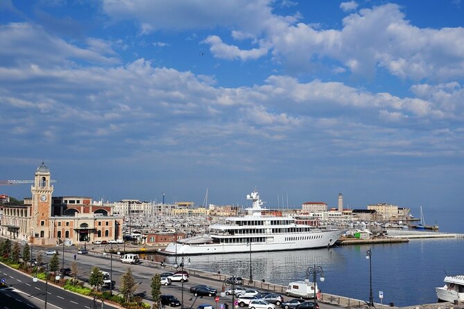 Private Transfer: Venice or Airport VCE to Port of Cruise Pier Trieste - Meet and Greet Service