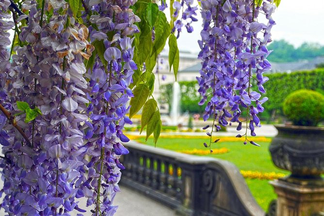 Private Transfer: Vienna Salzburg With a Stop in Mauthausen Concentration Camp - Cancellation Policy