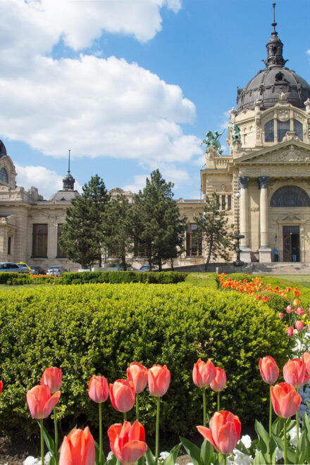 Private Transfer: Vienna to Budapest With 2 Hr Sightseeing - Vehicle Options Available