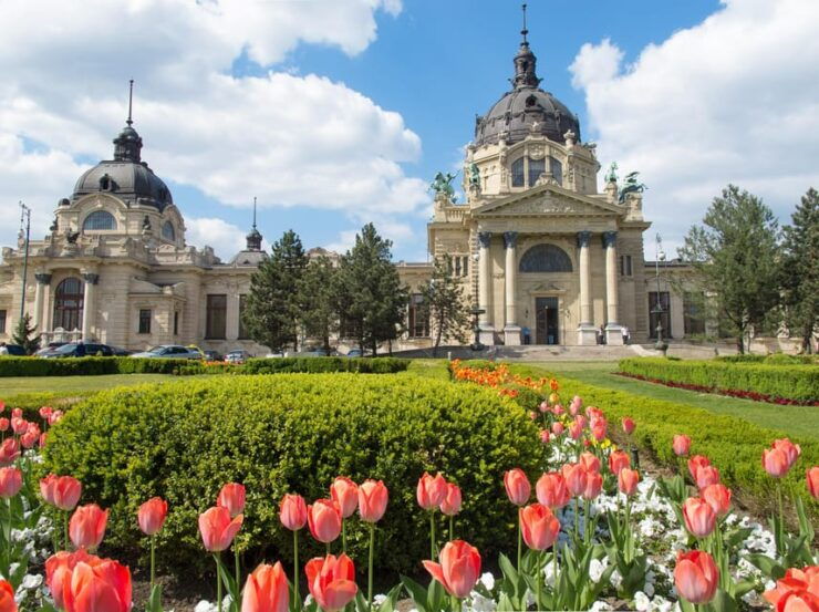 Private Transfer: Vienna to Budapest With 2 Hr Sightseeing - Pickup and Driver Information