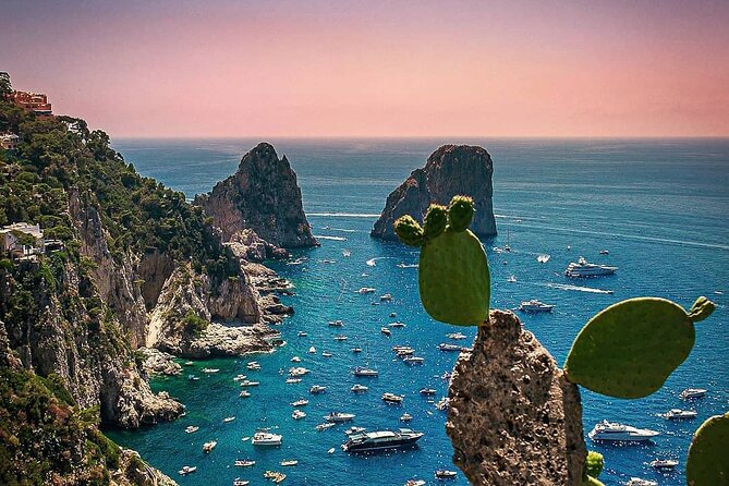 Private Transfer With Driver From Naples to Bari - Air-conditioned Vehicle