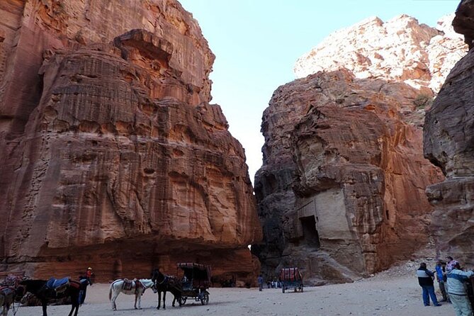 Private Transfers Amman to Dead Sea, Petra, Aqaba, Wadi Rum & Vice Versa - Inclusions and Amenities
