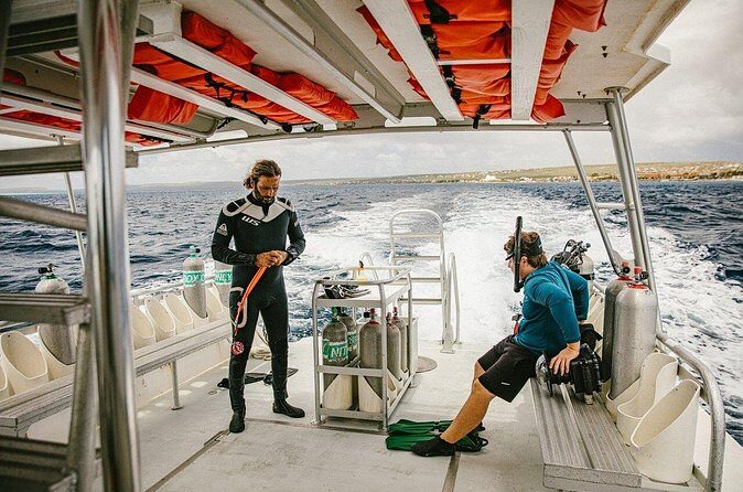 Private Transfers between Bonaire airport and any local address - The Sum Up