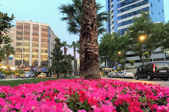 Private Transfers Between İzmir Adnan Menderes Airport - Izmir City Centre - Service Inclusions