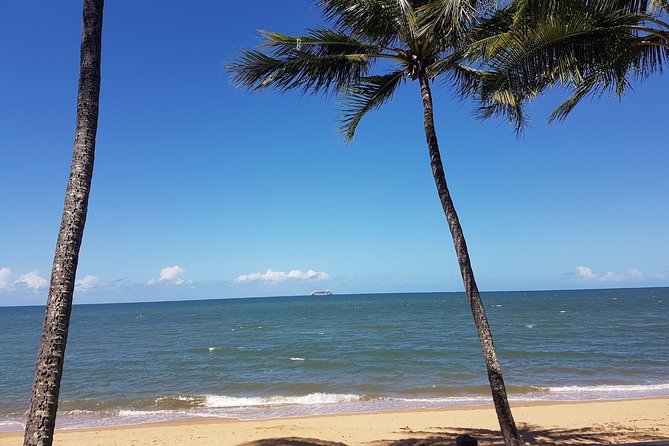 Private Transfers - Cairns Airport to Palm Cove - Reviews and Questions