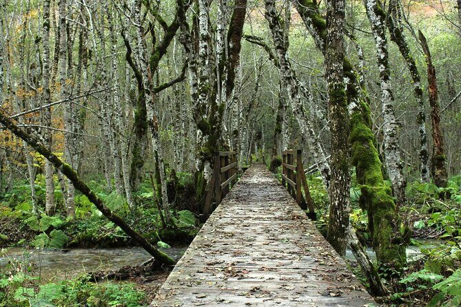 "Private Transfers & Day Tours in Montenegro - An In-Depth Look at the Private Transfer & Day Tour Experience