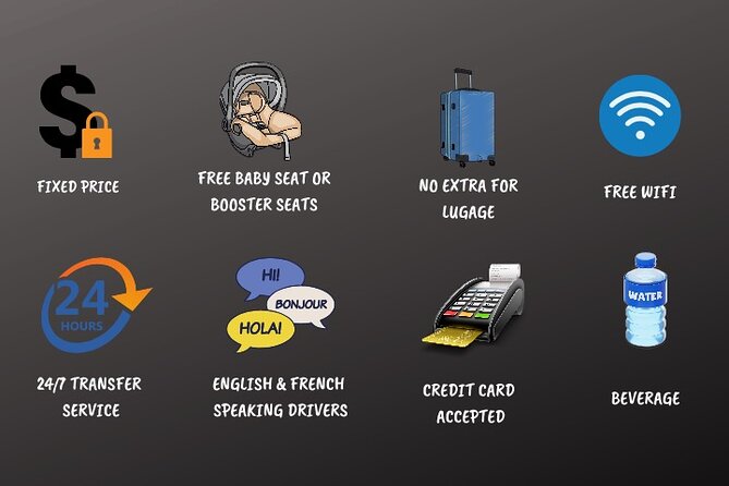 Private Transfers From Charles De Gaulle Airport to Paris - Service Details