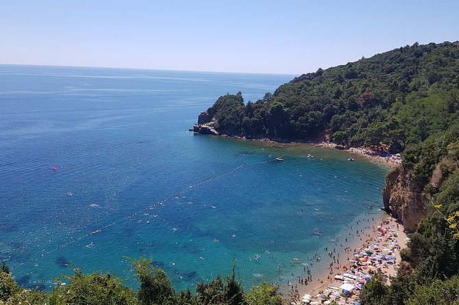 Private Transfers From Podgorica Airport and City to Budva - Service Details