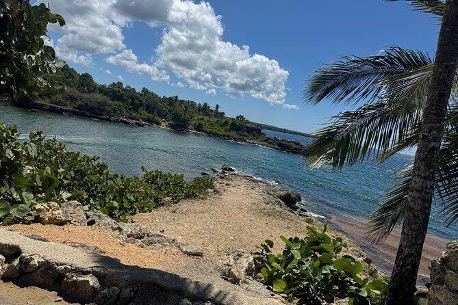 Private transfers from Punta Cana/Miches Airport - Who Should Book This Transfer?