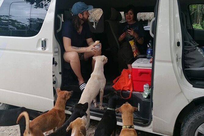 Private Transfers from Tulum Airport to Akumal - Who Should Book This Transfer?