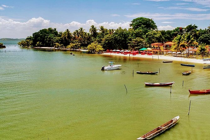 Private Transfers: Salvador to Barra Grande Round-Trip - Transfer Details