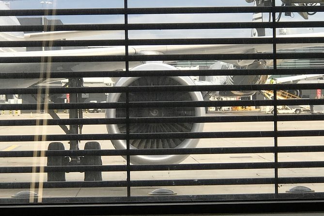 Private Transfers To/From Southampton Cruise Port and London Luton Airport - Cancellation Policy