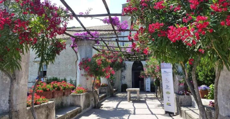 Private Transfert From Naples to Ravello + Pompei 2hrs - Pricing and Booking Details