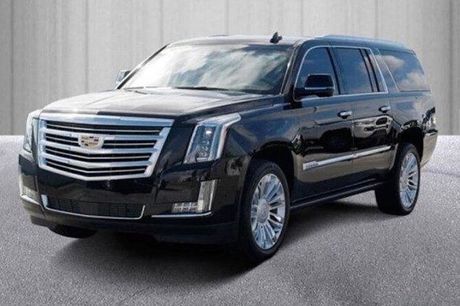 Private Transfer:Toronto Airport or Collingwood - Blue Mountain Resort One Way - Public Transportation and Infant Policy