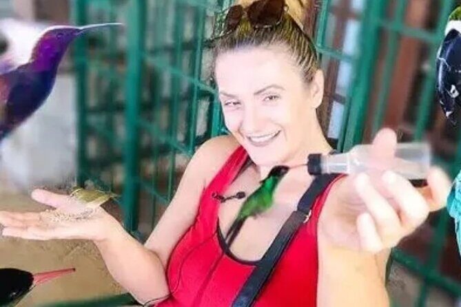 Private Transport and Airport Transfer in Montego Bay - FAQs