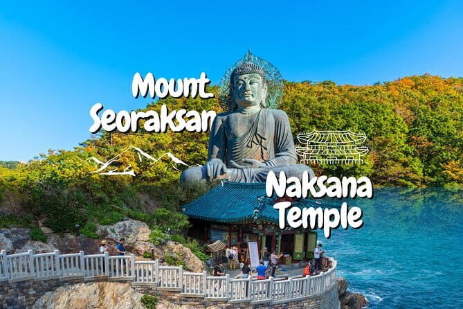 Private transport for 1 day Seoul tour - Who Will Love This Tour?