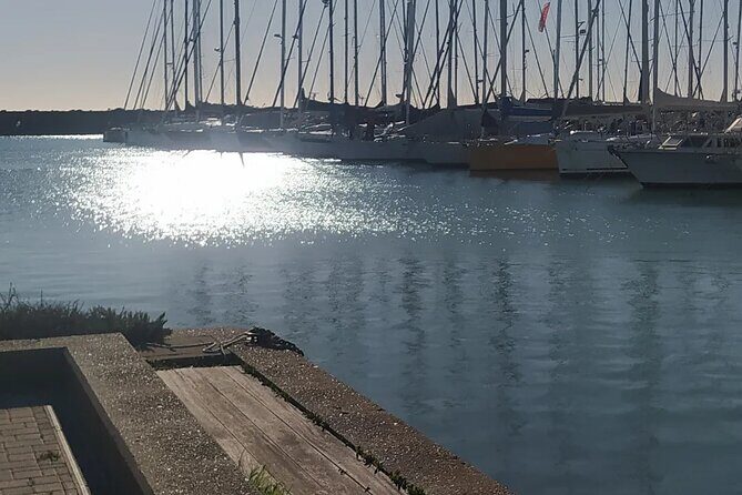 Private Transport from Civitavecchia Port to Rome or vice versa - Baggage Policies and Extra Costs