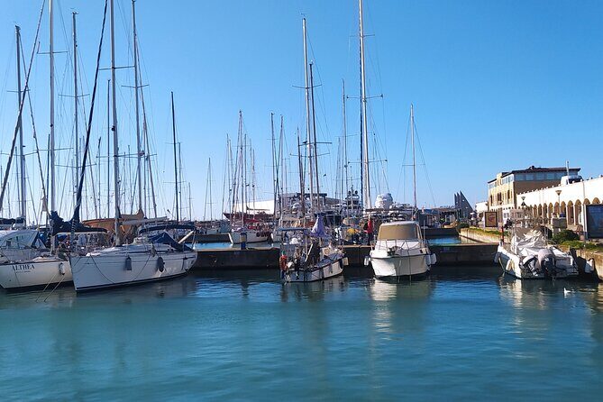 Private Transport from Civitavecchia Port to Rome or vice versa - Review Highlights and Authentic Traveler Insights