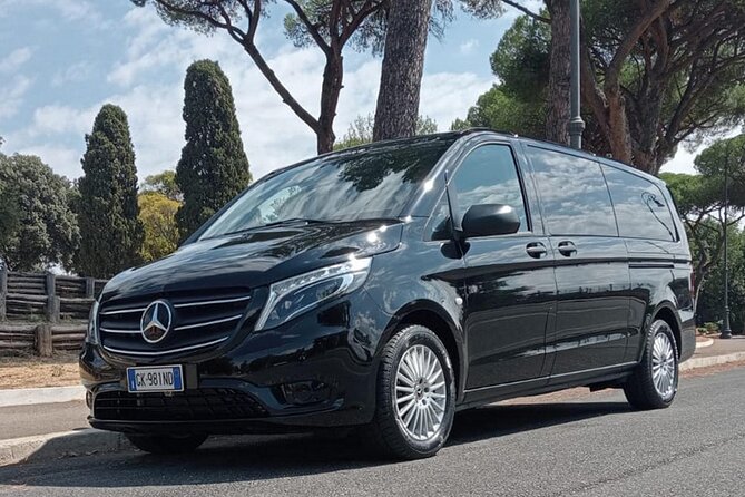 Private Transport From Fiumicino Airport to Ischia Island - Good To Know