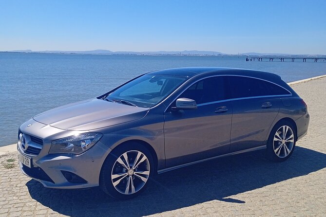 Private Transport From Lisbon/Seville or Seville/Lisbon - Accessibility Information