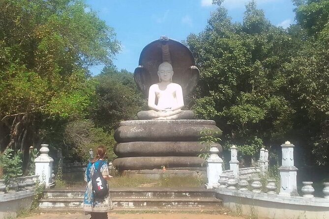 Private Transport from Sigiriya to Polonnaruwa - Breakdown of the Cost and Time