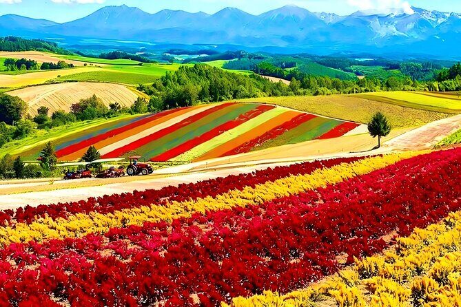 Private Transport in Hokkaido with English Speaking Driver - Who Should Consider This Tour?