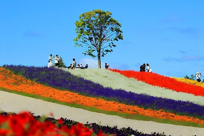 Private Transport in Hokkaido with English Speaking Driver - The Sum Up