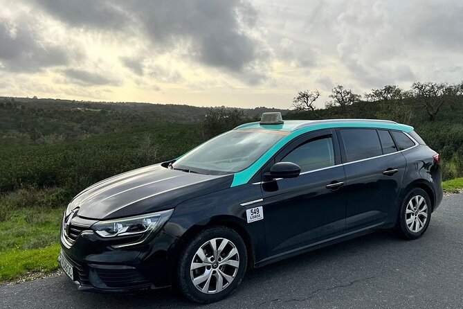 Private Transport in Lisbon - Types of Private Transport in Lisbon