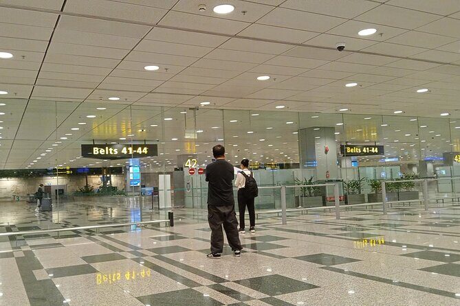 Private Transport in Singapore - Who Should Consider This Service?