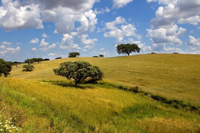 Private Transport Lisbon-Seville with 2 Stops on the Way - Is the Price Worth It?