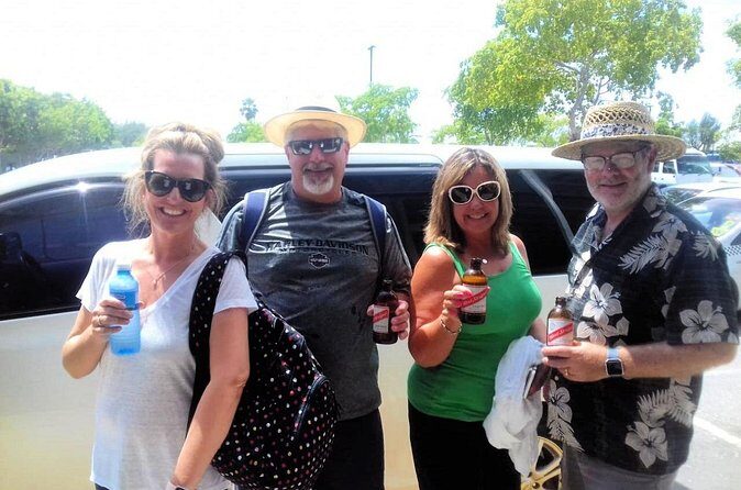 Private Transport: Montego Bay Airport to Royal Decameron Cornwall Beach - Final Thoughts