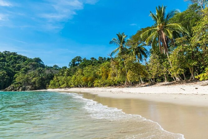 Private Transport Monteverde to Manuel Antonio - Booking Information