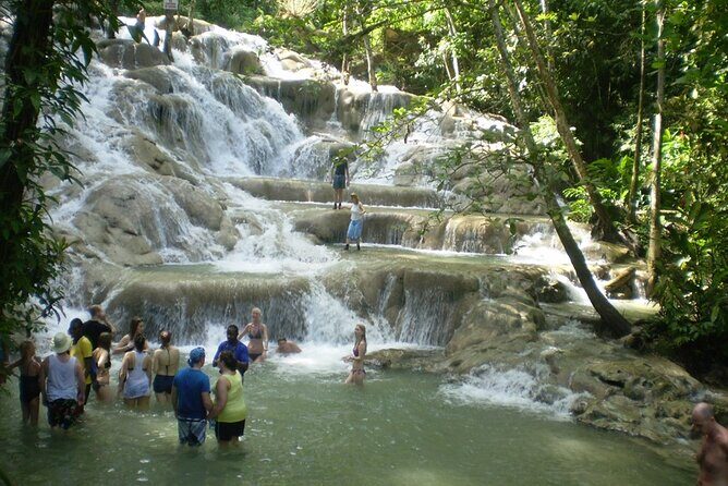Private Transport only, Zipline and Dunns River from Montego Bay - Good To Know