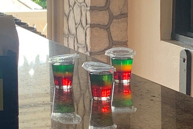 Private Transport to Bob Marley Museum - Who Should Book This Tour?