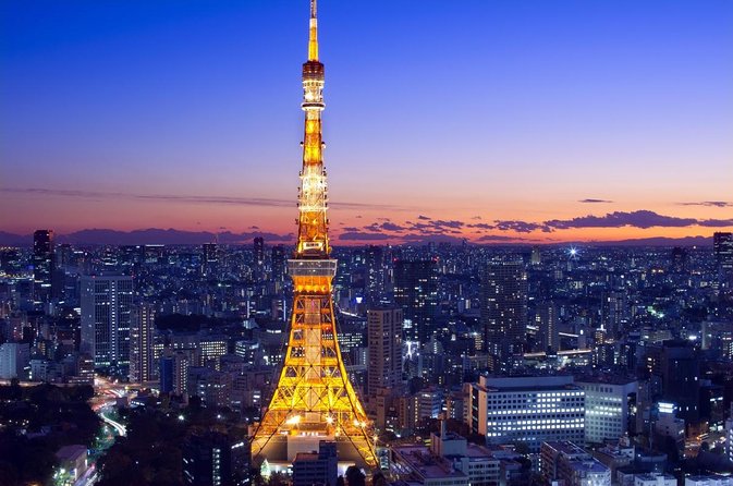 Private Transport Tokyo City Night View Tour - Meeting and Pickup Details