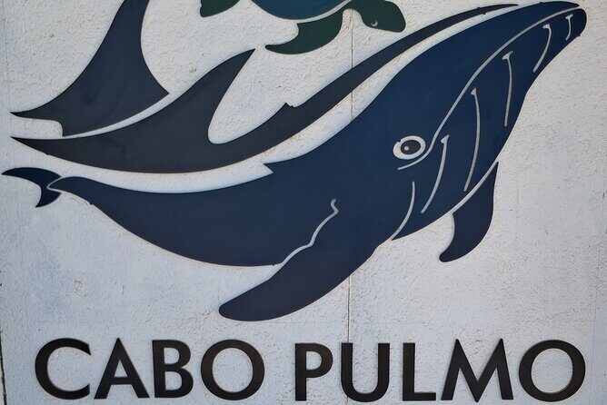 Private Transportation at VAN Airport Los Cabos - Cabo Pulmo Park - Who Would Love This Experience?  