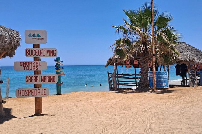 Private Transportation at VAN Airport Los Cabos - Cabo Pulmo Park - FAQs