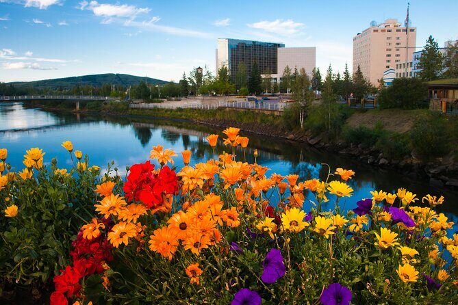 Private Transportation Between Fairbanks and Denali National Park - Comfort and Vehicle Features