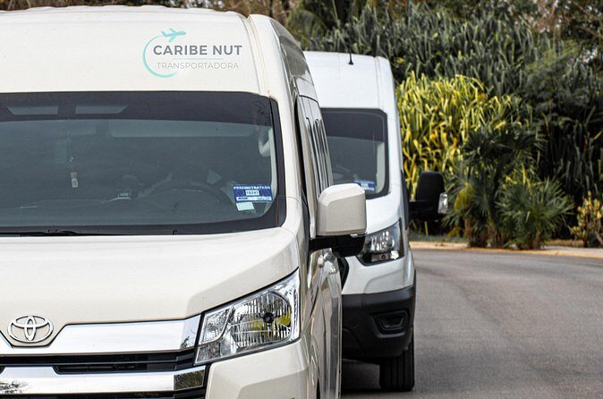 Private Transportation from Cancun Airport to Puerto Aventuras - Why This Transfer Suits Certain Travelers Best