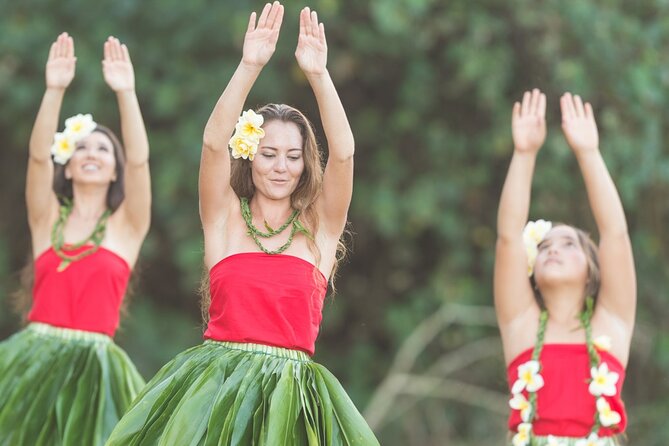 Private Transportation From Honolulu to Toa Luau - Pricing and Booking Details