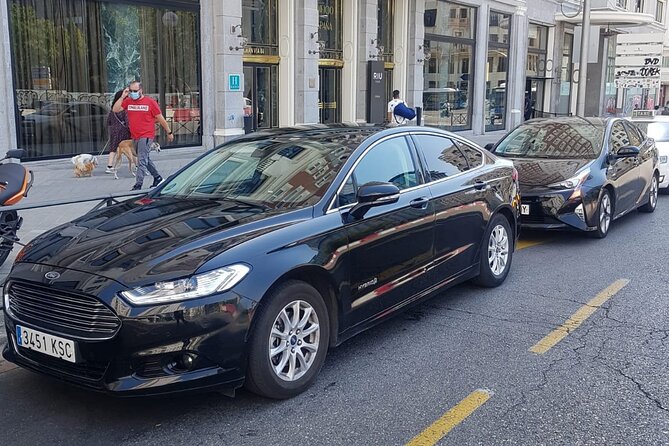 Private Transportation From Málaga Airport to the City - Reviews