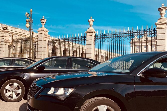 Private Transportation From Málaga Airport to the City - Common Questions
