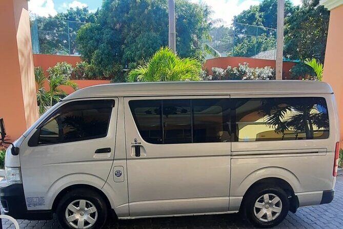 Private Transportation from MBJ Airport to Negril - Who This Experience is Best For