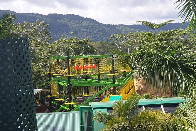 Private Transportation From Montego Bay to Mystic Mountain and Dunns River Fall - Activities and Attractions