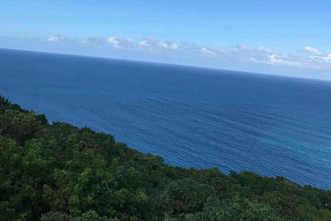 Private Transportation From Montego Bay to Mystic Mountain and Dunns River Fall - Reviews and Ratings