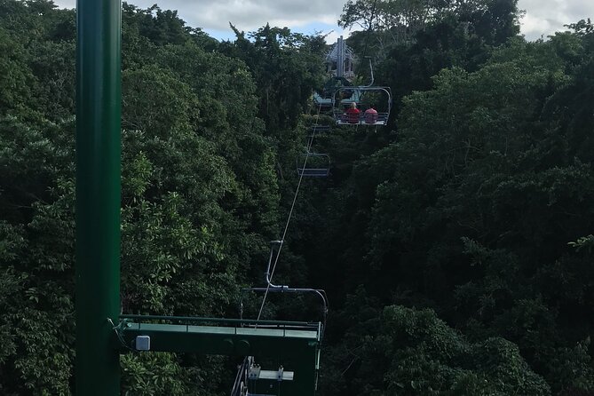 Private Transportation From Montego Bay to Mystic Mountain and Dunns River Fall - Common Questions