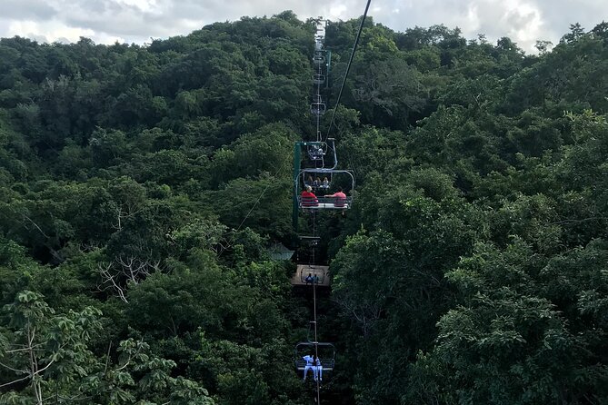 Private Transportation From Montego Bay to Mystic Mountain and Dunns River Fall - The Sum Up